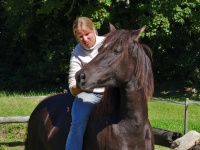 laita29