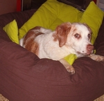 coko