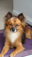 NATHALIE 44600