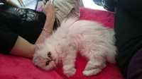 Axy