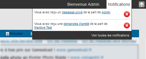 La toolbar, le centre des notifications & les messages des bannis 41010