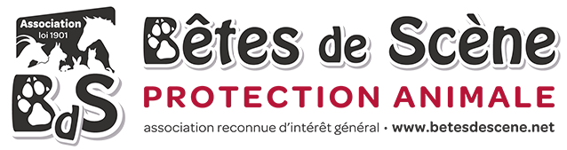 Bêtes de Scène, association de protection animale 