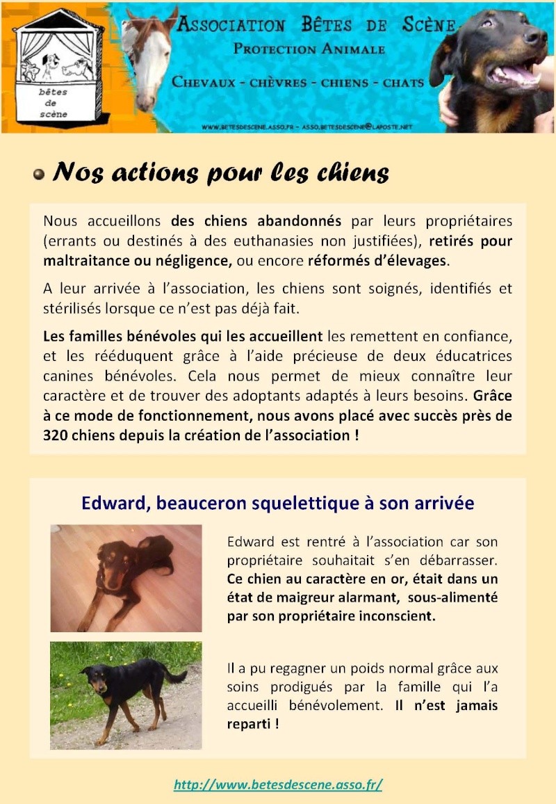 Document pour les nouveaux books chez les vétos Doc_ve24