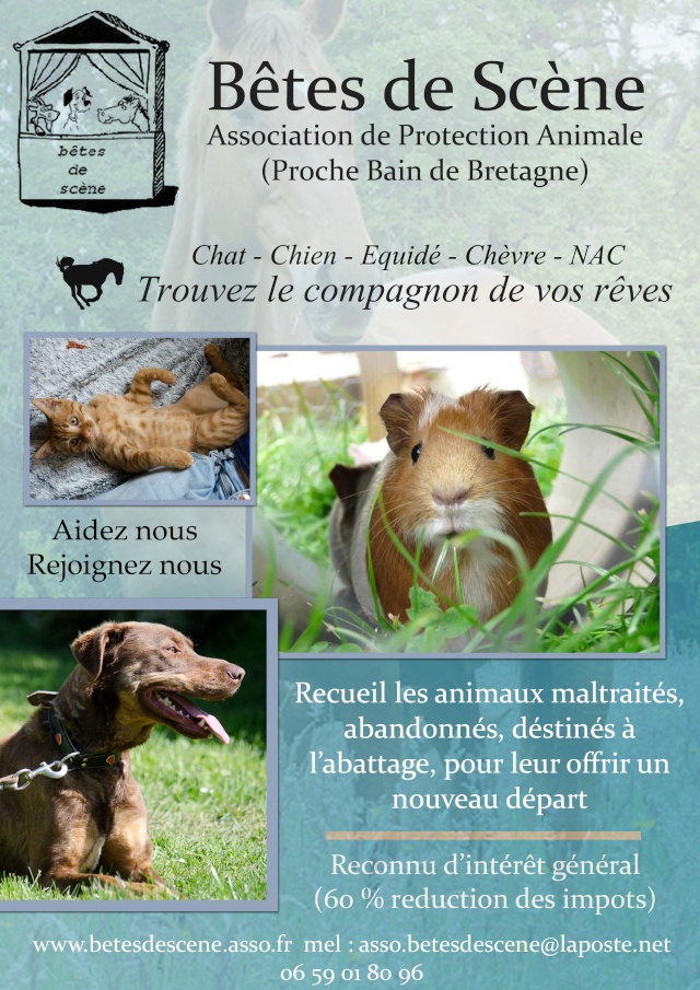 affiches pour stand BDS Affich10