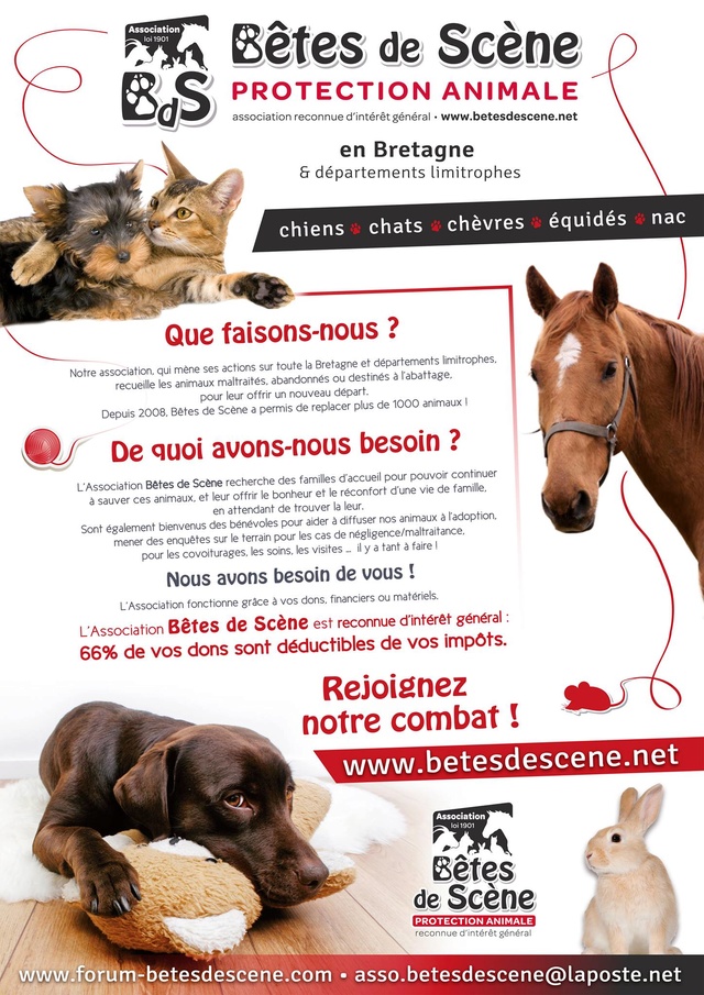 Affiches recherches FA chiens/chats 13720510