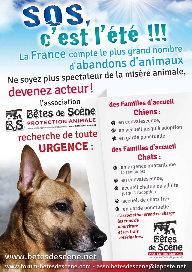 Affiches recherches FA chiens/chats 13730610