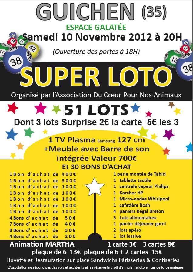 Grand loto à GUICHEN le 10 novembre 2012 - Page 2 Affich13
