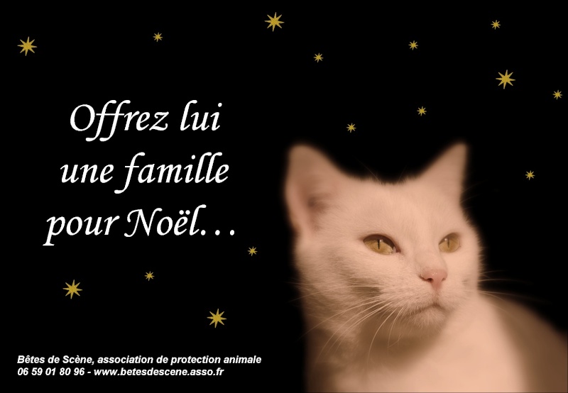 NOUVEAU : AFFICHES BDS ! Galyss17