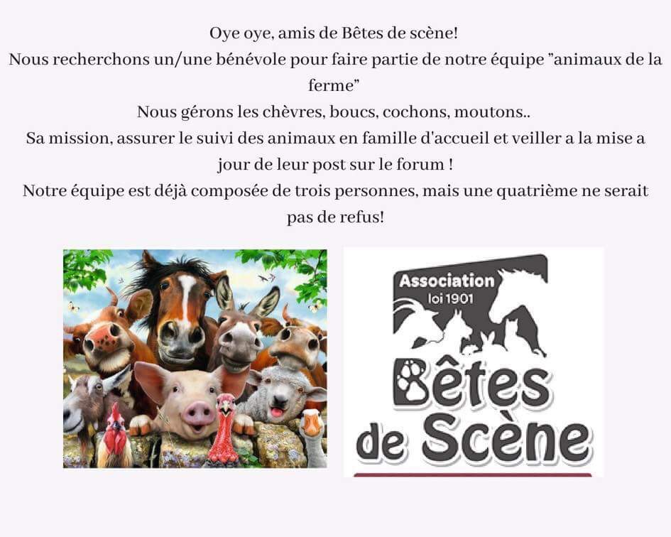 L’équipe animaux de la ferme recrute ! 036d9a10