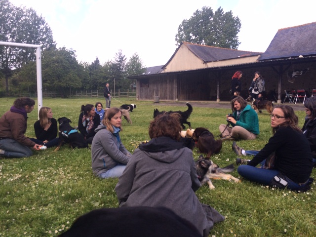 Journée Photo / Formation / Balade Chien  - Page 7 Img_0025