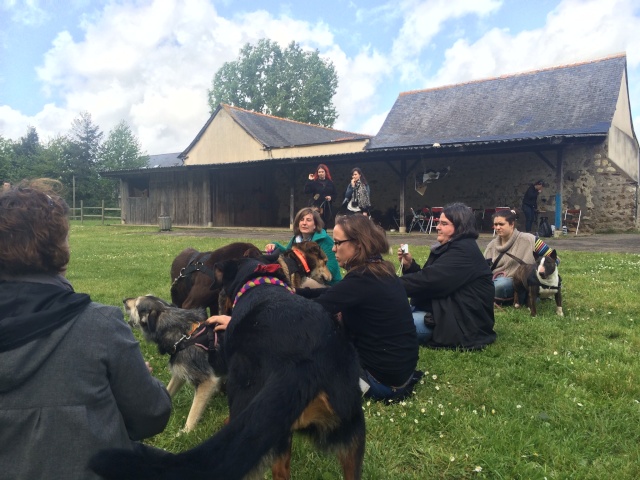 Journée Photo / Formation / Balade Chien  - Page 7 Img_0026
