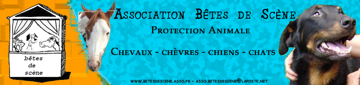 Association Btes de Scne 