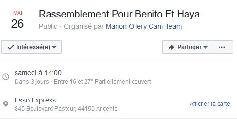 Benito et Haya, borders, toujours introuvables depuis le 17/02/18 Clipbo10