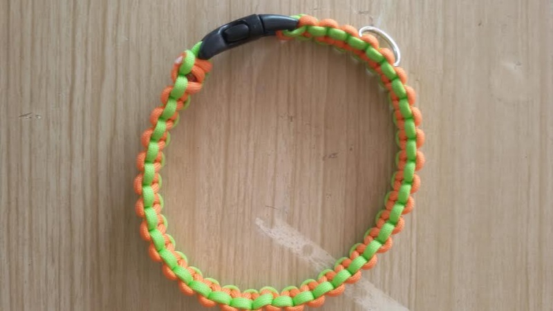 Boutique en ligne Collie10