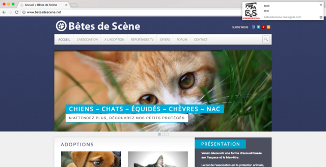Notifications Bêtes de Scène Captur12